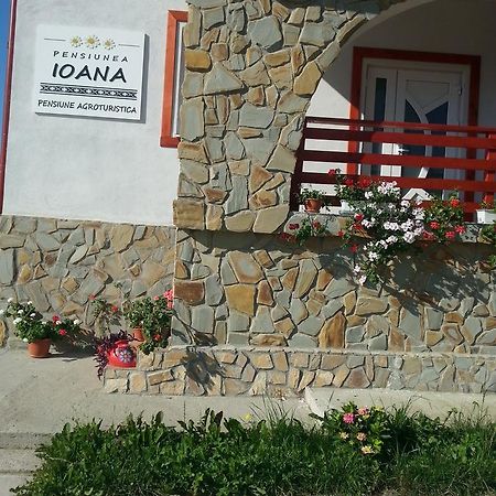 Pensiunea Agroturistica Ioana Bradulet Exterior foto