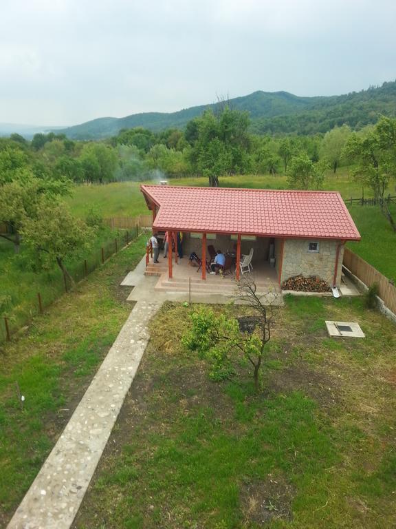 Pensiunea Agroturistica Ioana Bradulet Exterior foto