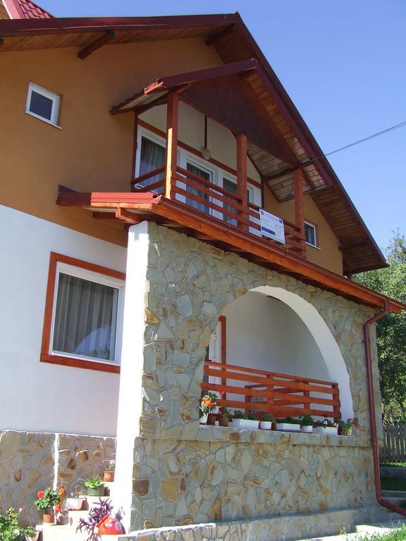 Pensiunea Agroturistica Ioana Bradulet Exterior foto
