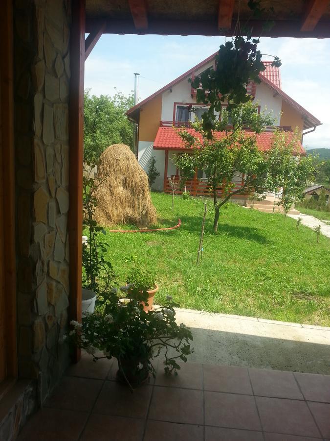 Pensiunea Agroturistica Ioana Bradulet Exterior foto
