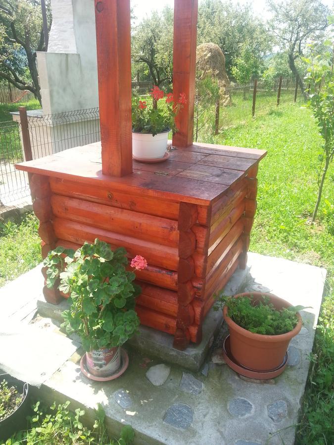 Pensiunea Agroturistica Ioana Bradulet Exterior foto